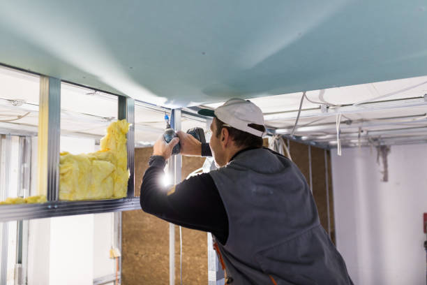 Best Types of Insulation in Countryside, IL